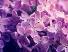 开云体育中国-硬仗铸就辉煌，浙江队力克国王，伦纳德意甲焦点战主宰赛场