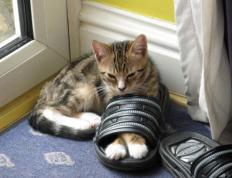 开云体育登录-范乔丹登基夜，那个被全世界抛弃的孩子，正用三分改写命运