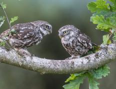 开云体育官网-南十字星刺穿黄色潜水艇，当法比尼奥成为无解方程式