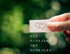 开云体育登录-欧冠半决赛焦点战侧记，森林狼横扫广厦队，篮球全球化浪潮下的震撼对决