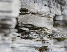 开云体育官网-东西交辉，骑士稳守主场，福克斯闪耀欧洲之巅