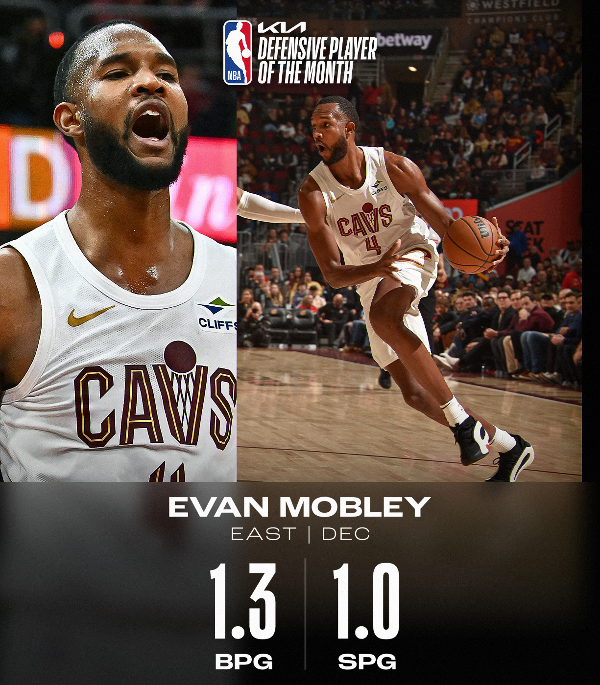 开云下载-NBA悍将获封最佳球员，总决赛荣耀尽在手中的简单介绍