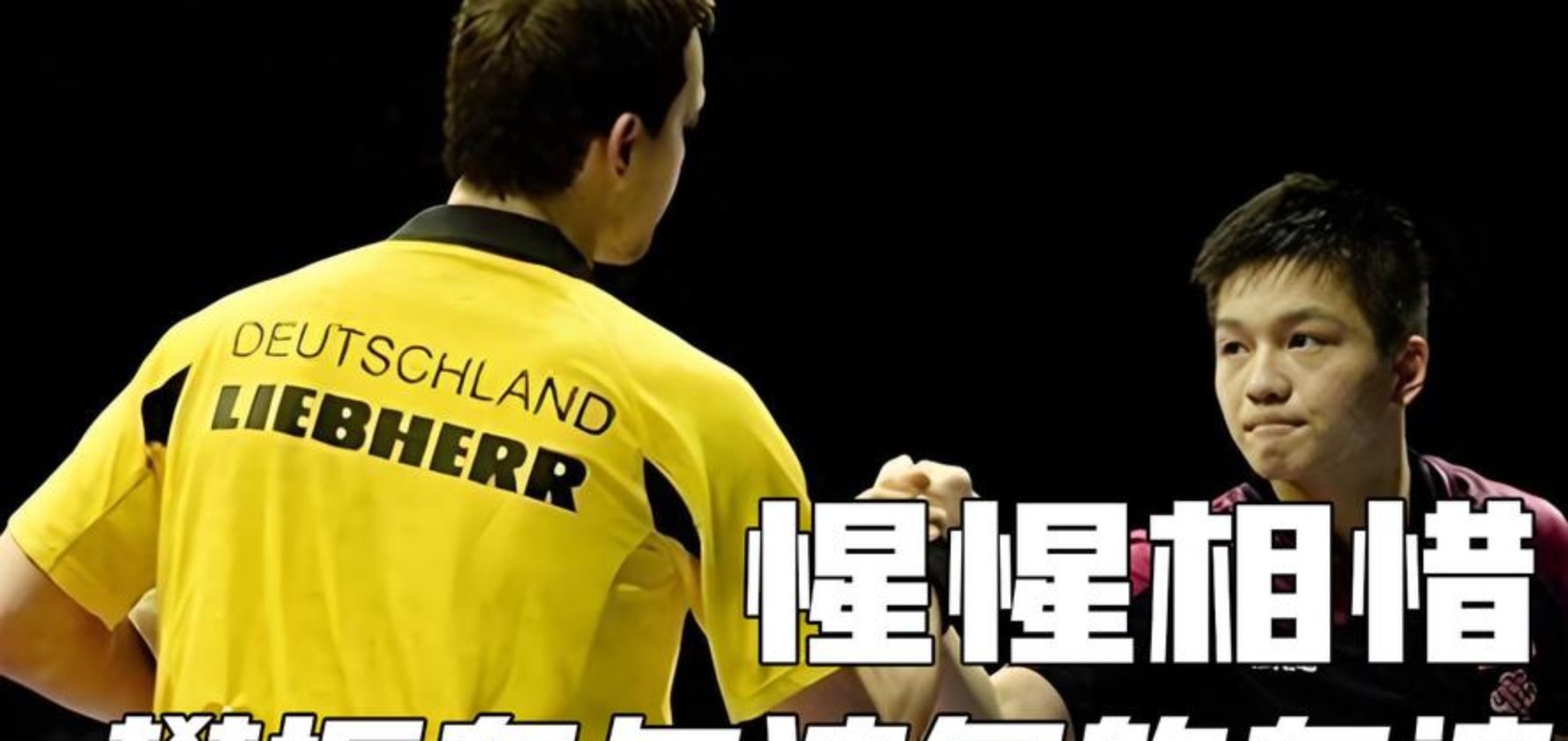 开云下载-德国队险胜瑞典队，樊振东点燃赛场