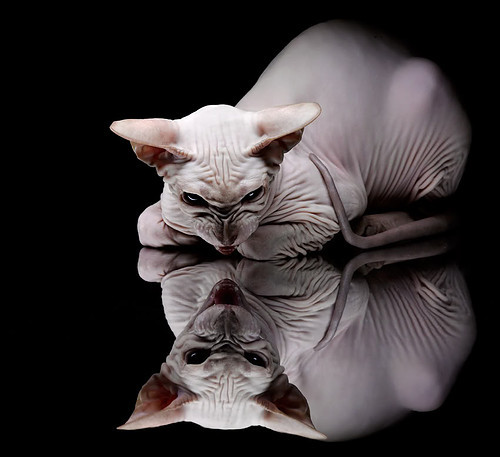 开云下载-英格拉姆狂飙难敌团队爆发,辽宁队一波流带走热火胜局