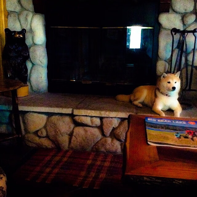 开云体育官方网站-绿茵硝烟,当体育沦为民族主义的角斗场