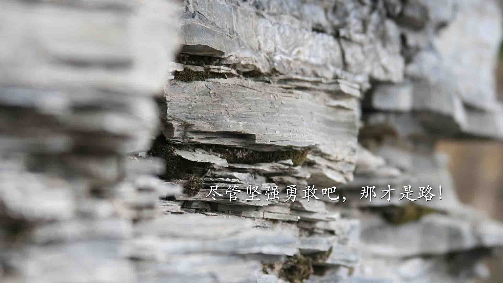 开云体育官网-东西交辉,骑士稳守主场,福克斯闪耀欧洲之巅