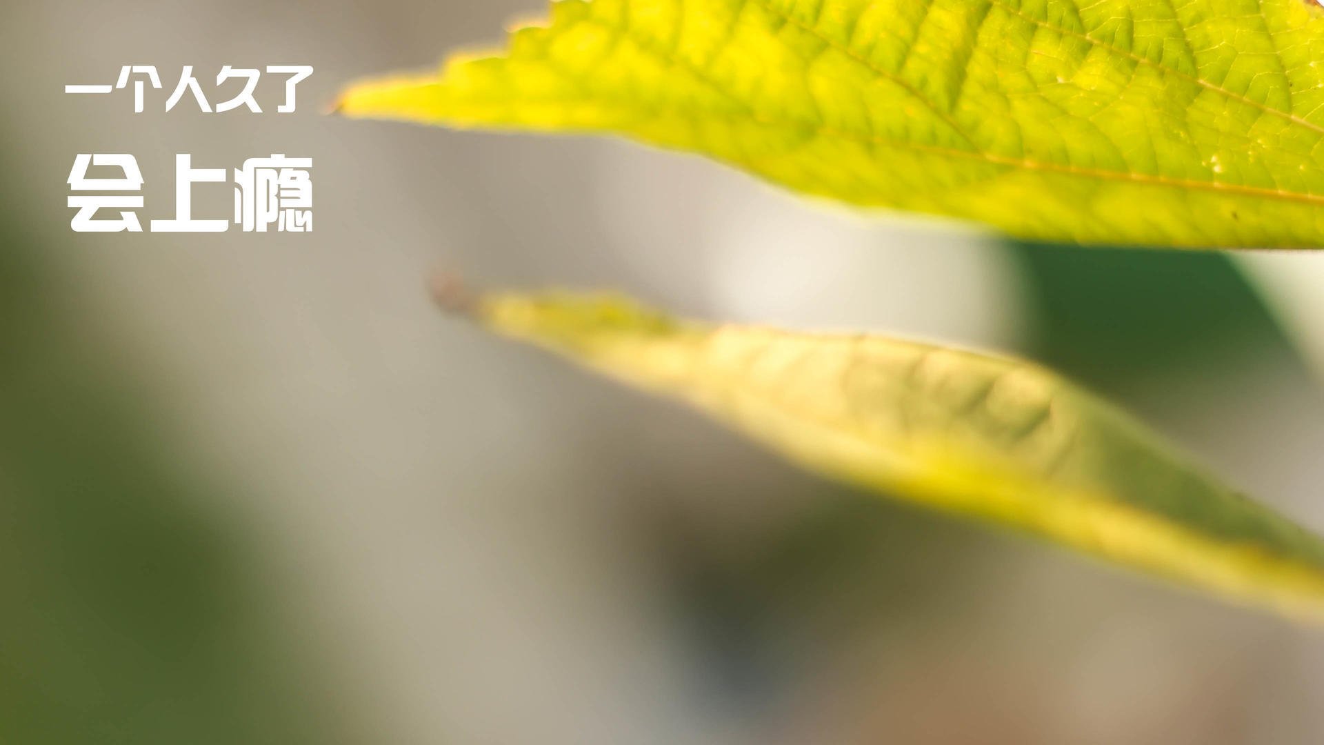 开云体育下载-从领袖到帝王,福登的进化与韩国的闪电战—现代足球的效率革命