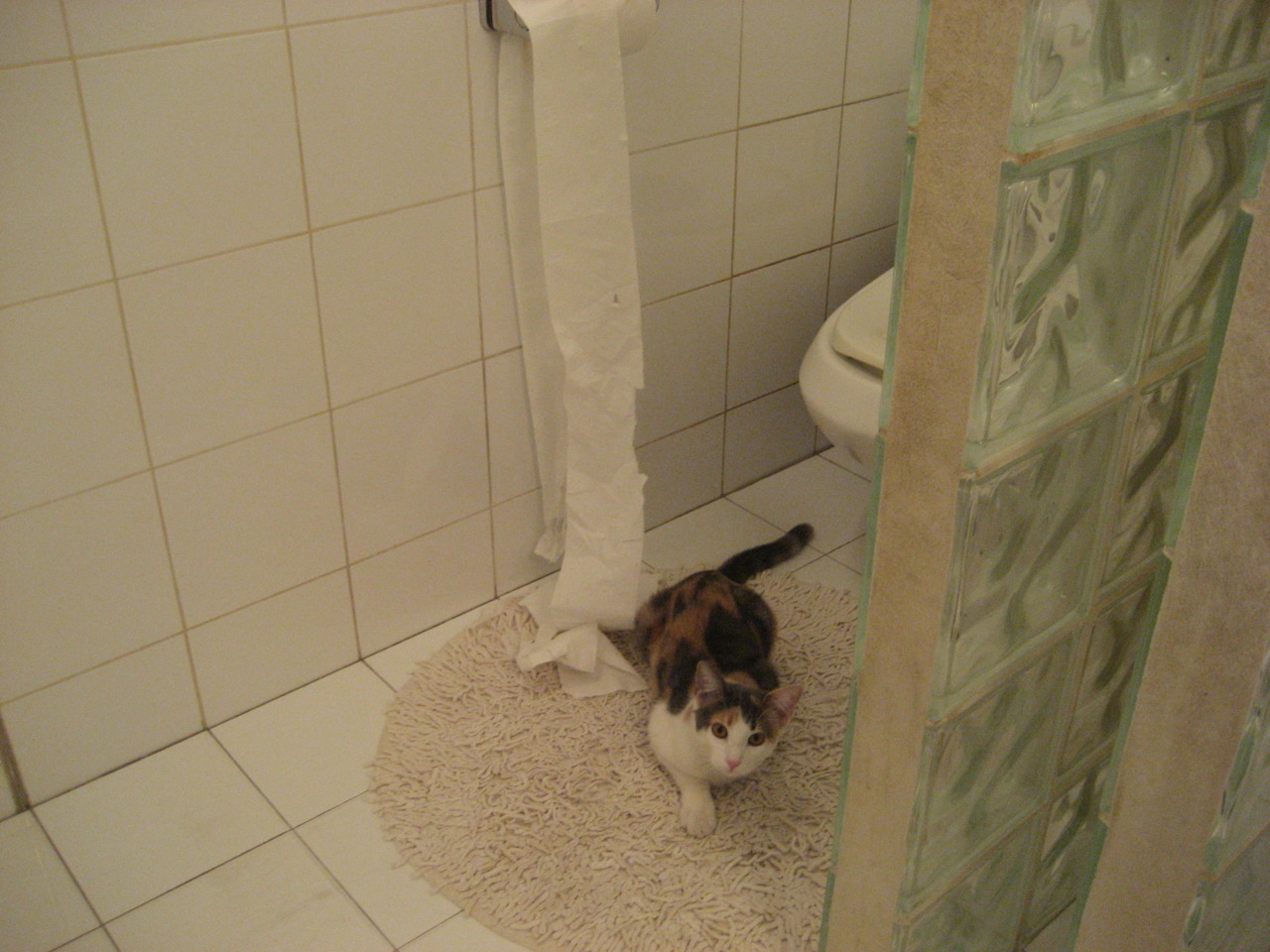 开云体育在线-李刚仁统治全场,苏格兰翻盘荷兰,足球之夜的激情与奇迹