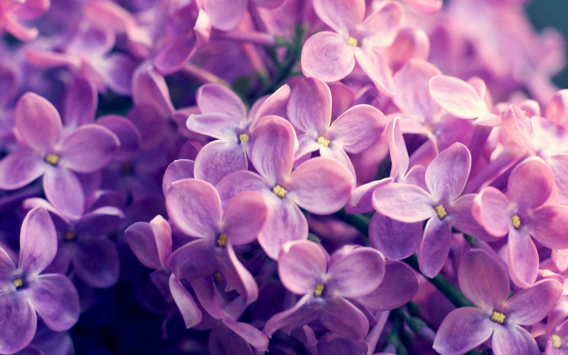 开云体育中国-硬仗铸就辉煌，浙江队力克国王，伦纳德意甲焦点战主宰赛场