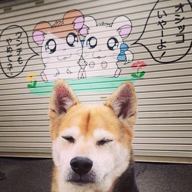 开云体育下载-乔治个人能力在NBA季后赛之夜的完全绽放