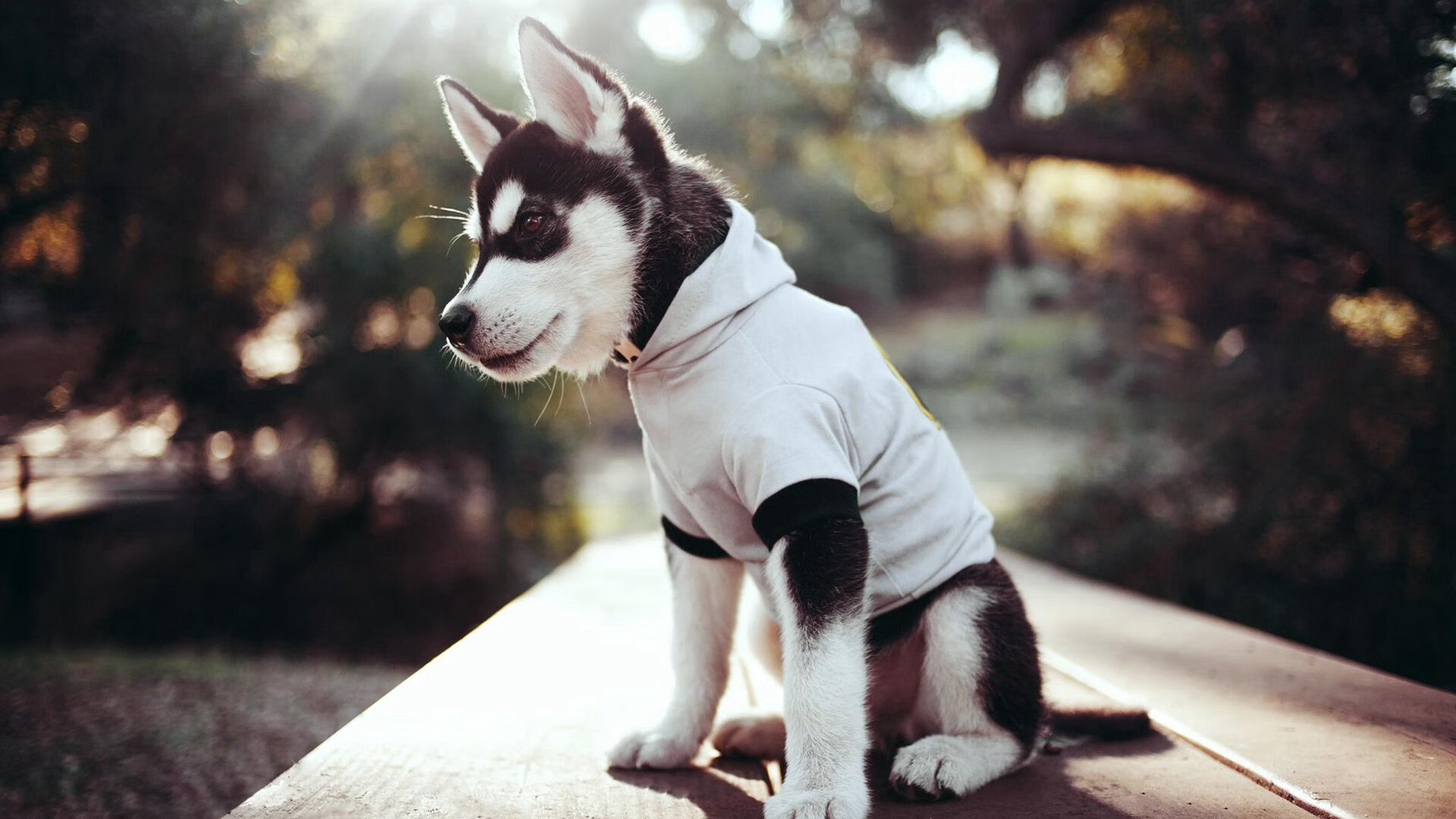 开云下载-奥纳纳领袖风采尽显,墨西哥高效收割冰岛赢得关键胜利