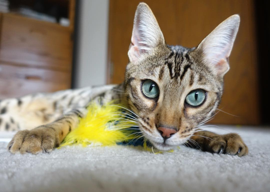 开云体育入口-乔治末节13分导演逆转,魔术窒息式防守令湖人窒息