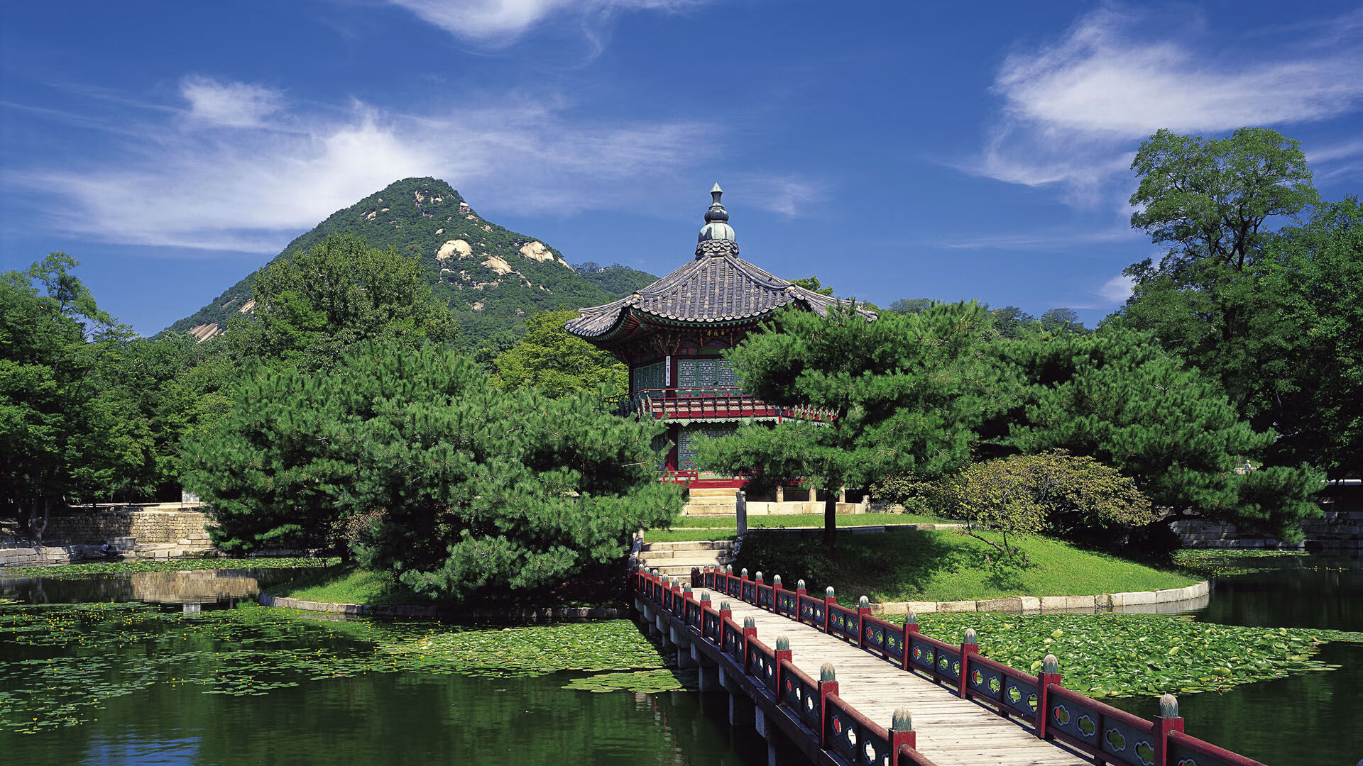 开云体育APP下载-死神挥镰,英格拉姆关键回合手起刀落,国王末节一波流冲垮猛龙