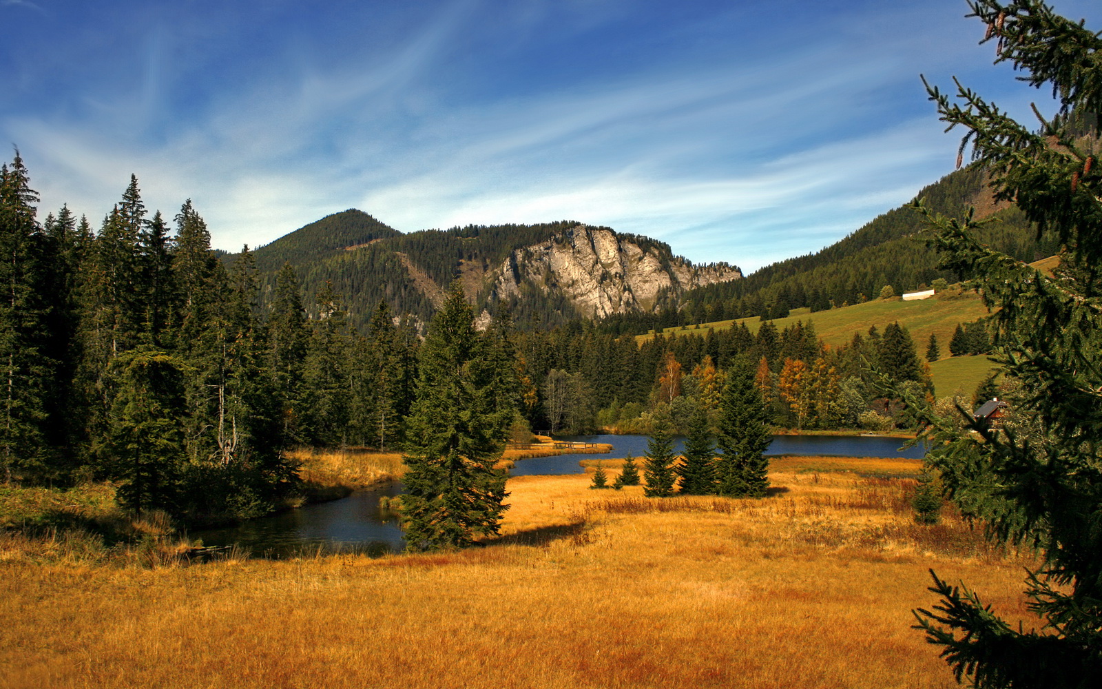 开云APP-非洲雄鹰展翅,巴尔干孤星闪耀,世界杯赛场上的冰与火之歌