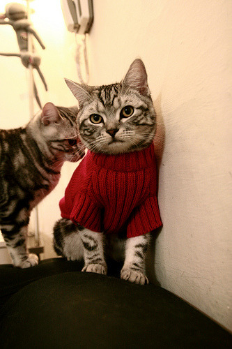 开云APP-格纳布里的第七军团,当现代足球打穿古罗马防线