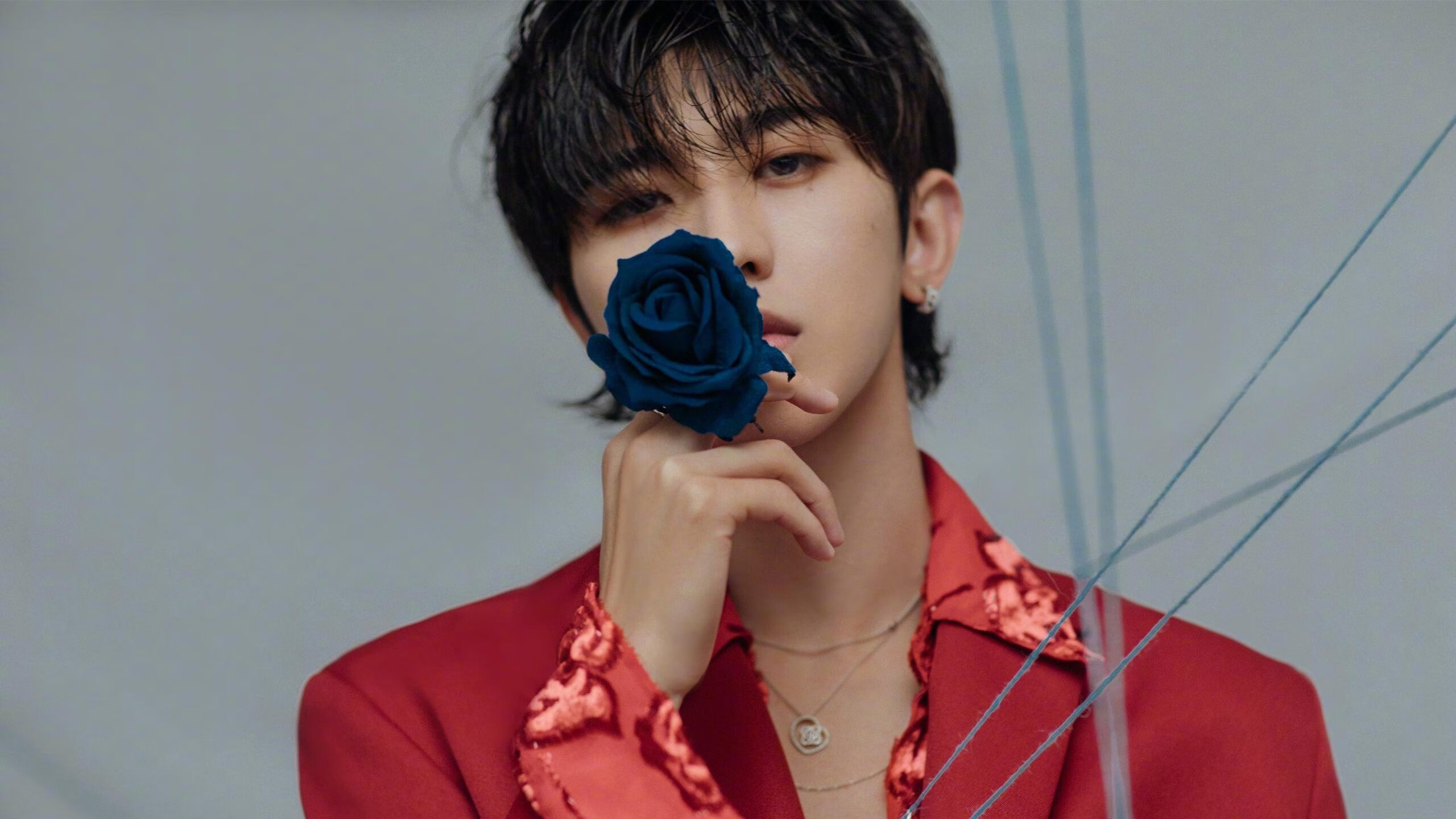 开云下载-绝境曙光,门迪点燃战火,爱尔兰末节逆转厄瓜多尔