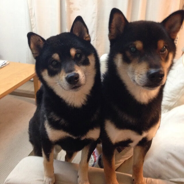 开云体育app-浓眉擎天定乾坤,马刺逆转上海显豪强