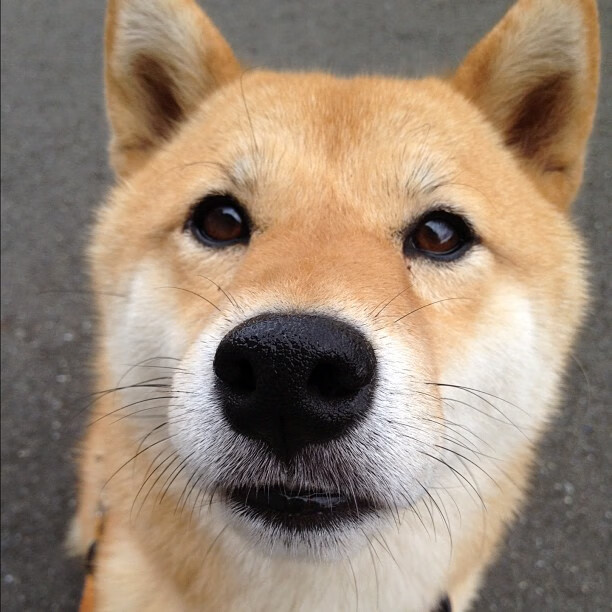 开云APP-拉梅洛单骑救主末节疯砍19分，尼克斯乱战终结76人