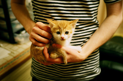 开云体育下载-欧冠半决赛焦点战，独行侠全面压制新疆队，晋级决赛在望