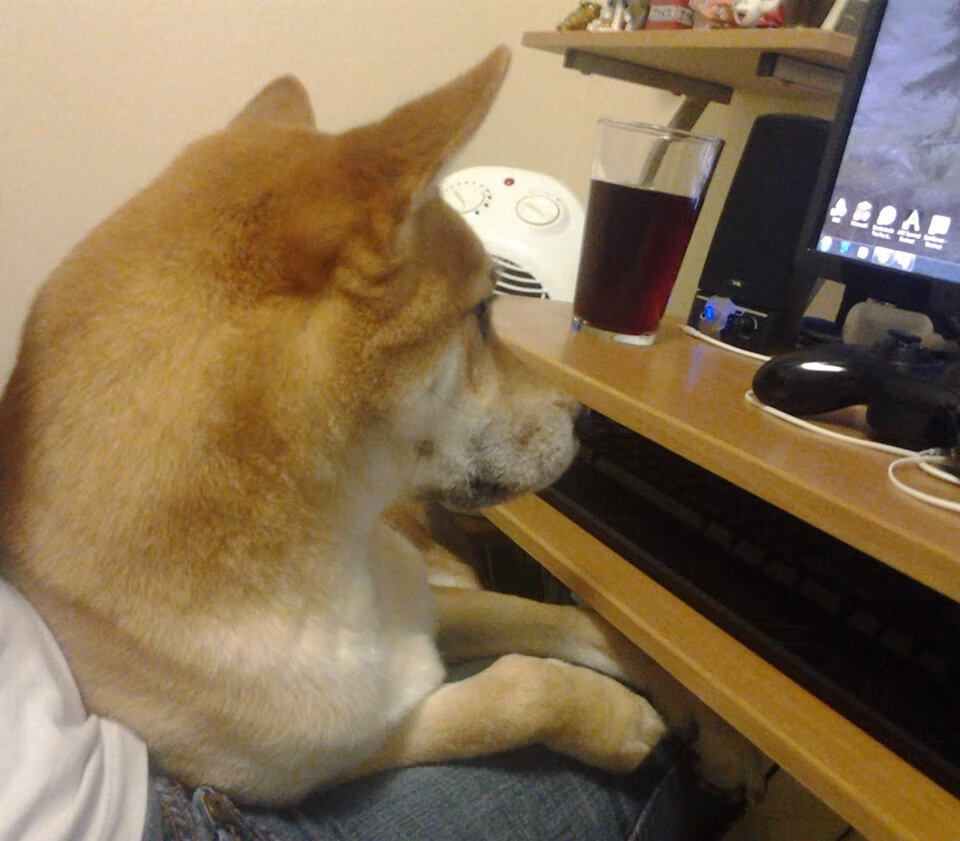 开云体育入口-致命三分！西亚卡姆成关键先生，北京队绝境粉碎猛龙神话